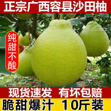 正宗廣西容縣沙田柚新鮮柚子當季水果白肉沙甜蜜柚5/10斤