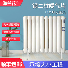 6030暖气片家用集中供热水暖钢二柱立式横式钢制散热器厂家批发