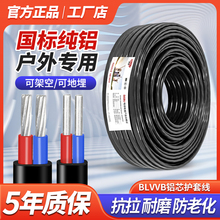 國標鋁芯電線家用戶外防老化6 16 10平方鋁線電纜線2芯護套線