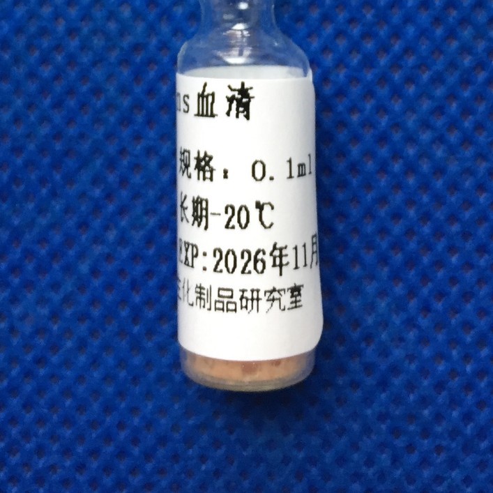 �࿹P-InsѪ��-0.1ML