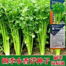 ļС۷NӷN۲ԲСѷN߲˲˷NݲR