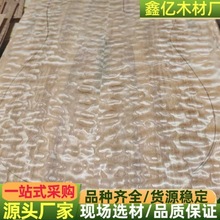 球沙 球麦 球纹麦哥利 美国枫影染色木皮 枫木 欧枫影木 球沙板材