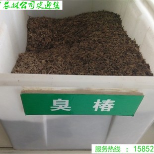 ���羳��؛���²ɳ����N�ӳ�����N�Ӵ����������N���ļ��Nֲ�t