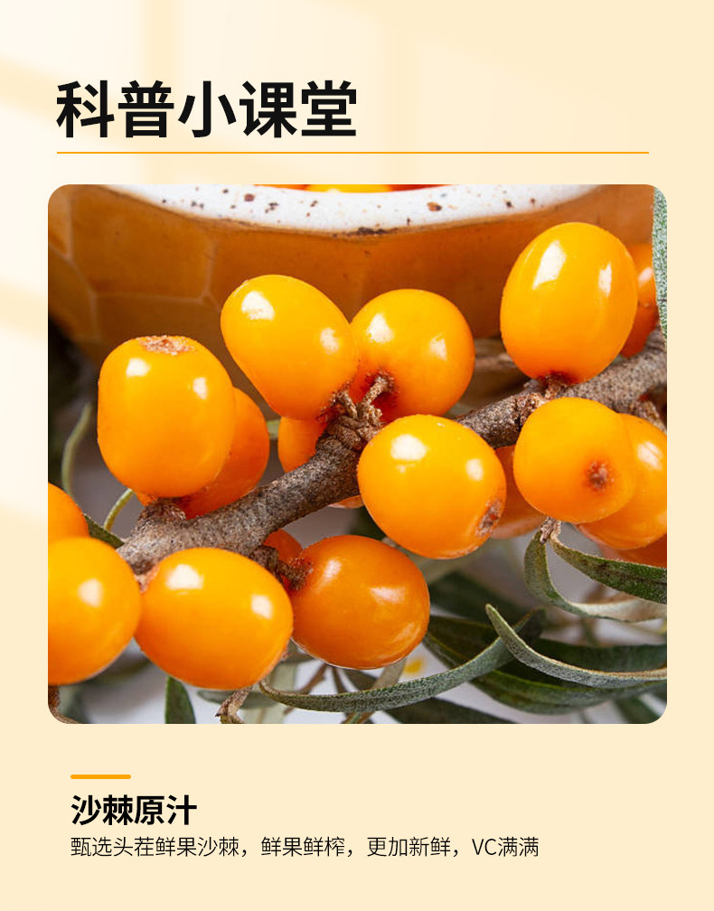Sea Buckthorn Puree Sha Ji 150ml Fresh Pressed Juice Sticks No Added Sugar Plant Drink quality and texture