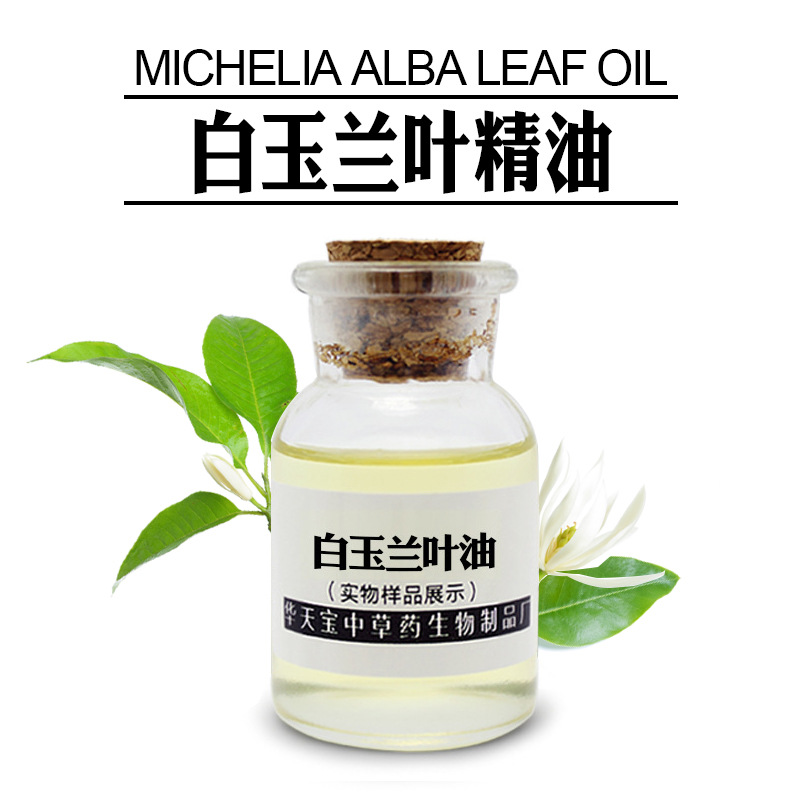 白玉兰叶精油 1KG 蒸馏提取白兰叶油 玉兰叶精油 天然植物精油