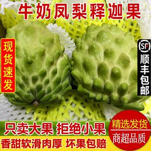 ��S�F؛ 5��ţ�̴�Ŀ�P����ȹ�����֦���^������rˮ�����]