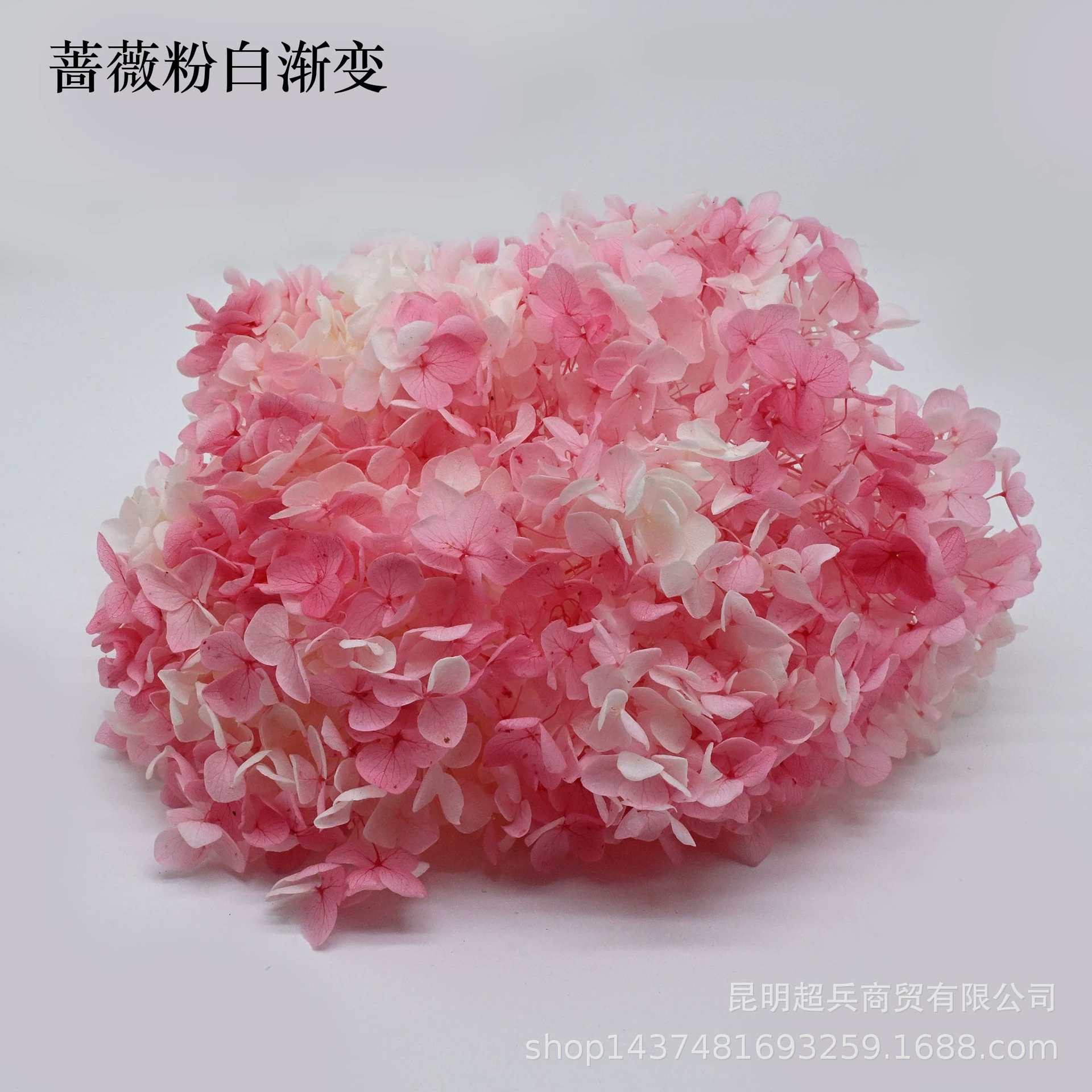 [Вечная Life Flower Hydrangea] Анна Градиентный цвет Лист Hydramid Книга цветов оптом DIY цветочная коробка материал для просмотра