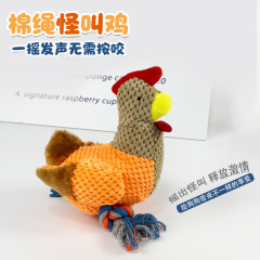 亚马逊狗狗毛绒玩具磨牙耐咬解闷发声宠物玩具大小犬幼犬宠物用品