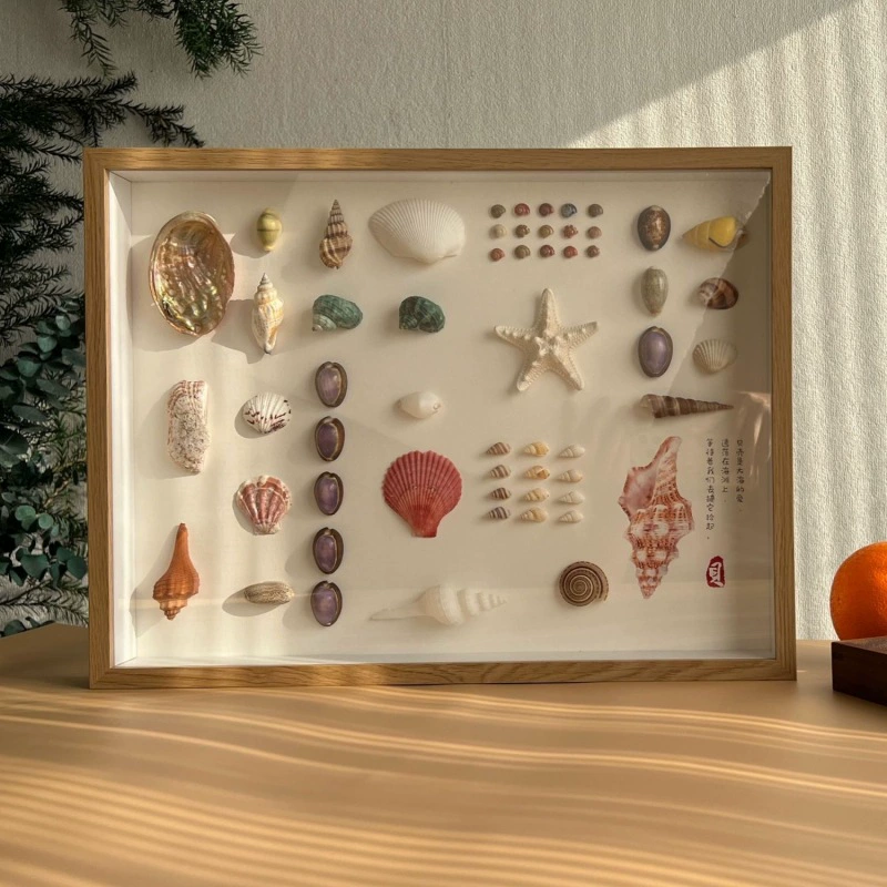 Weng Kai Shell трехмерная полая фоторамка образец рамы