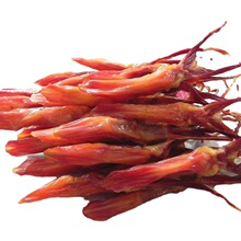 �����خa�����������l���500�˾Ƶ��ϯ��P�u�����^�������l