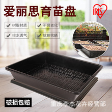 爱丽思育苗盘多肉种植收纳盒花盆S-5 S510组盆育苗盆育苗箱芽苗盘