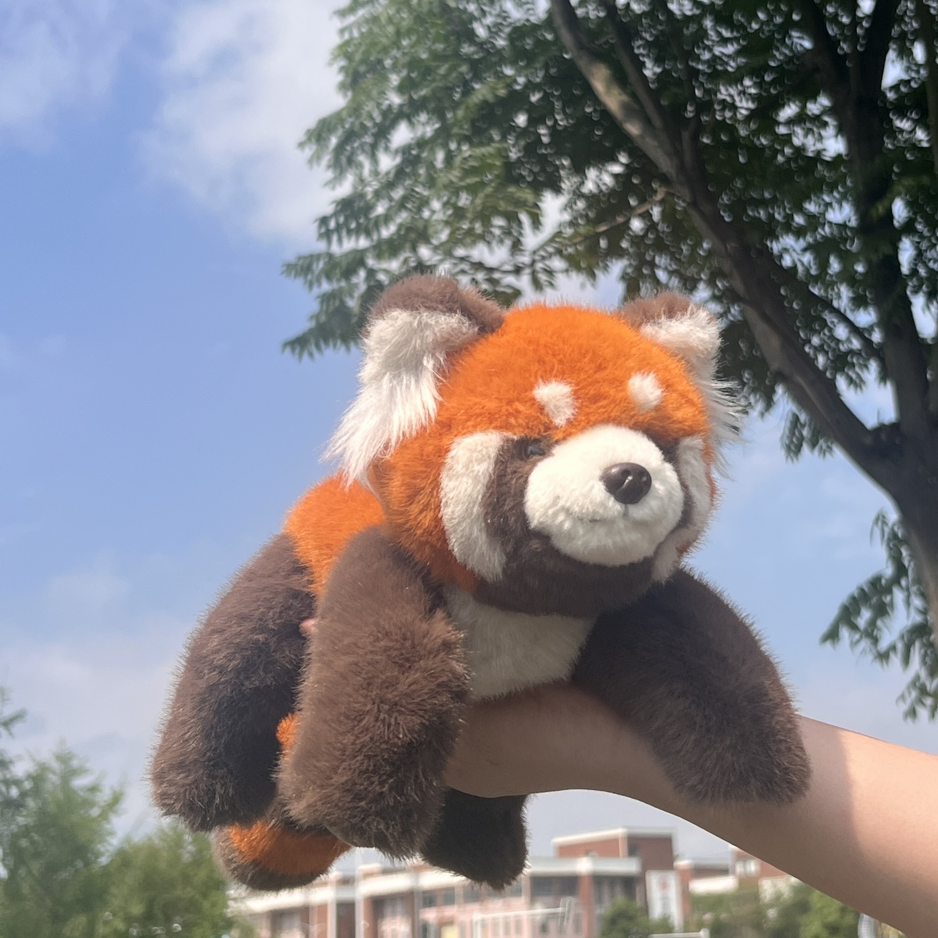 新款可爱软体趴趴小熊猫毛绒玩具 小浣熊公仔熊猫抱枕娃娃