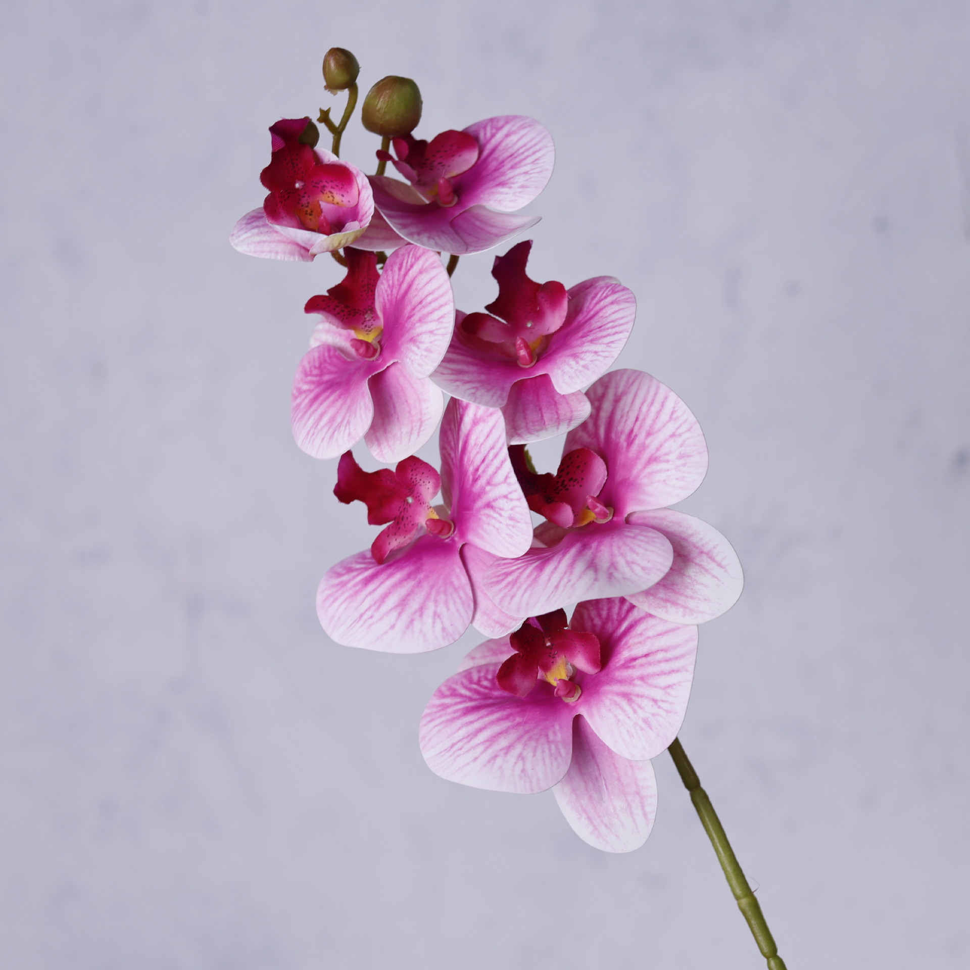 Impresión 3D de 7 cabezas de orquídeas mariposa flor de decoración de flores de alto nivel flor de nicho decoración floral decoración de sala de estar