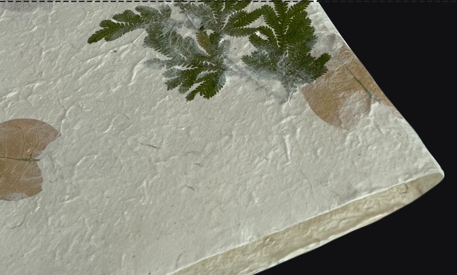 태국 붉은 꽃 피닉스 꼬리 81*59cm