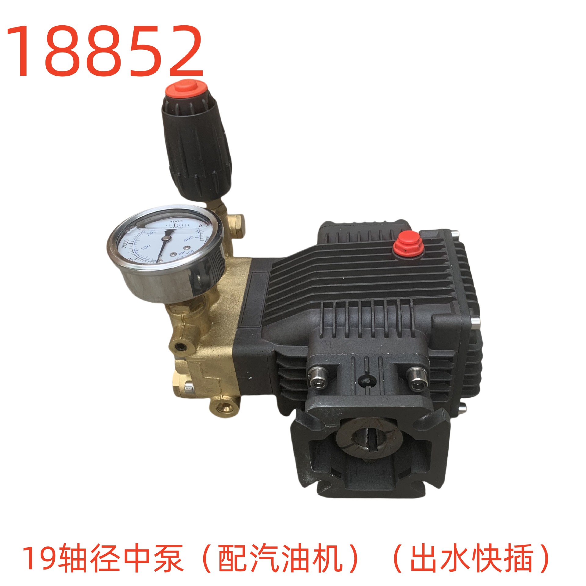 洗特19轴径中泵（配汽油机）（出水快插）（相距6对角8.5）18852