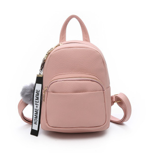 2022 new Joker student backpack travel bag Korean fashion college ladies shoulder bag agent a generation of hair