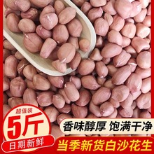 5斤装新鲜农家自种小白沙花生仁特价批发商用榨油不带壳的生花生
