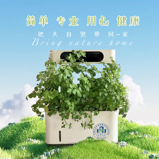 Soilless Cultivation Science Education Home Indoor School Conduoduo Hydroponic Organic Plants Balcony Ecological Vegetables