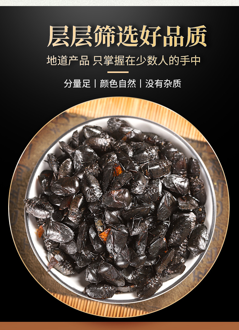 Jiu Xiang Chong (Aspongopus chinensis) — Dried TCM Herb, 500g Powder key features
