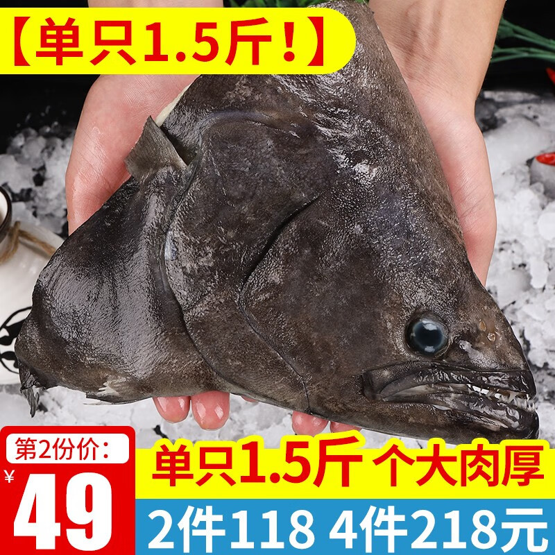 海皇湾深海鲽鱼头 鸦片鱼头 超大比目鱼头海鲜 生鲜鱼类 超大鲽鱼