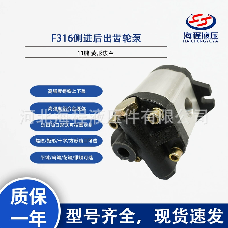 SDH Shanghai Volkswagen той же модели F316 боковой задний шестеренчатый насос