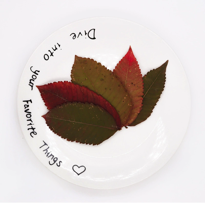 Соляные отруби дерево сушеный цветок перегородка детская ручная работа образец листа живопись лист Закладка капля клей фоторамка материал для тиснения сумка