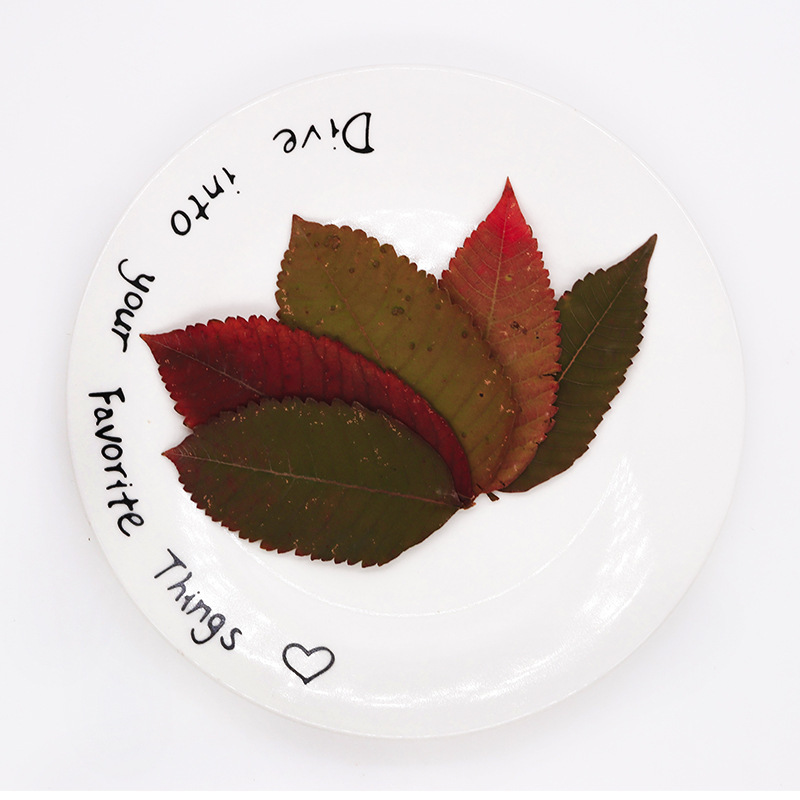 Salt Bran Wood Dried Flower Baffle Children's Handmade Leaf Specimen Painting Leaf Bookmark Dropping Glue Photo Frame Embossing Material Bag