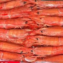 ����͢�t�rl1��t�r�M�ڳ��ش���������r������rˮ�a�����r���r