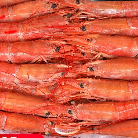 阿根廷红虾l1大红虾进口超特大刺身级新鲜冷冻海鲜水产船冻虾生鲜