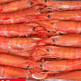 阿根廷红虾l1大红虾进口超特大刺身级新鲜冷冻海鲜水产船冻虾生鲜