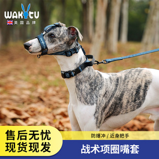 Wakytu British dog leash medium and large dog pet collar dog walking leash dog leash adjustable mouth sleeve