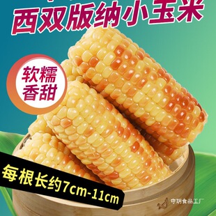 ������p��{��ŴС�������r����bܛŴ������ͯ��ʹּZ��Ŵ����