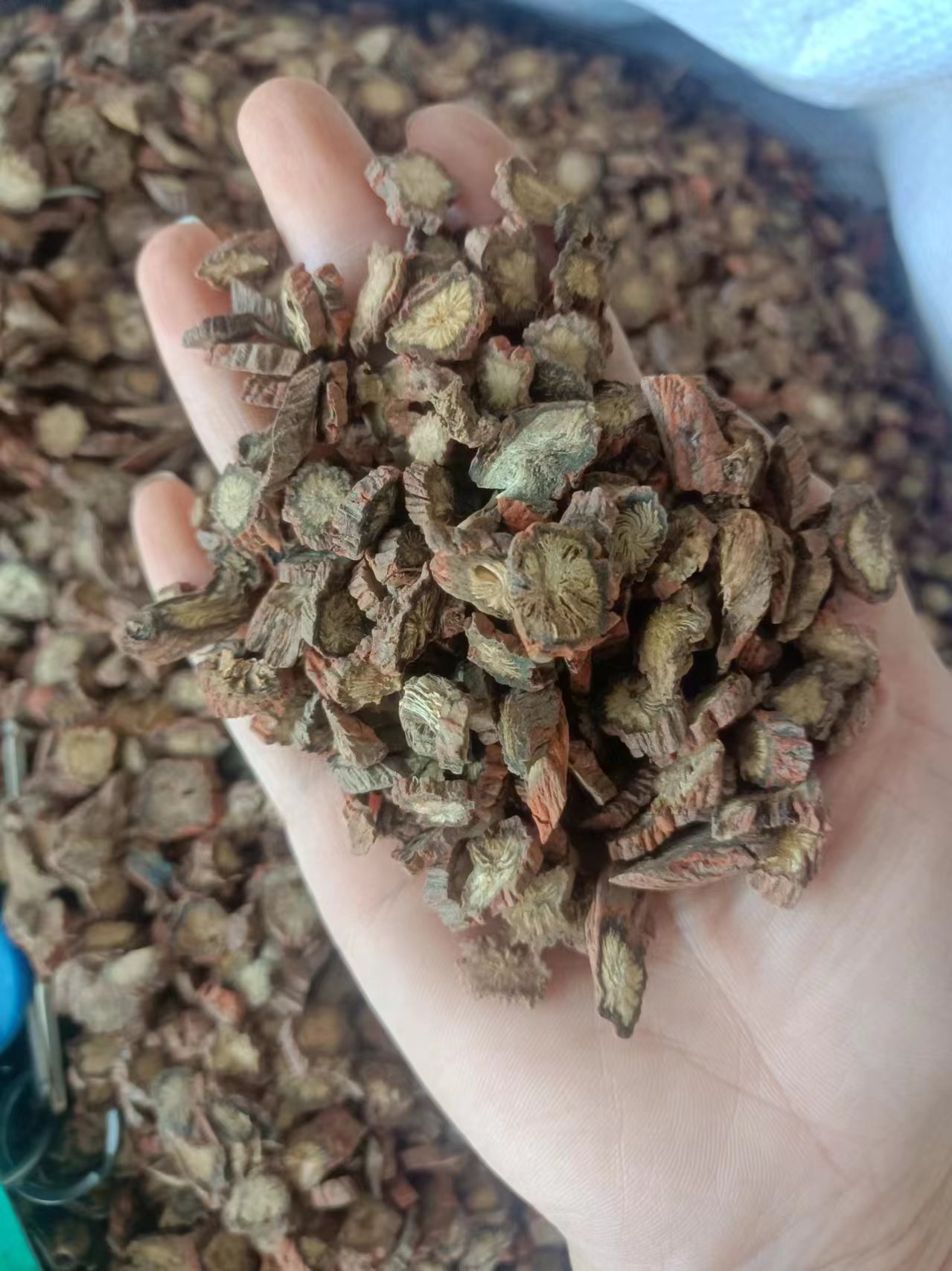 Purple Danshen Root Slices Dan Shen 500g Bulk Dried Salvia Miltiorrhiza for Decoction and Herbal Tea key features