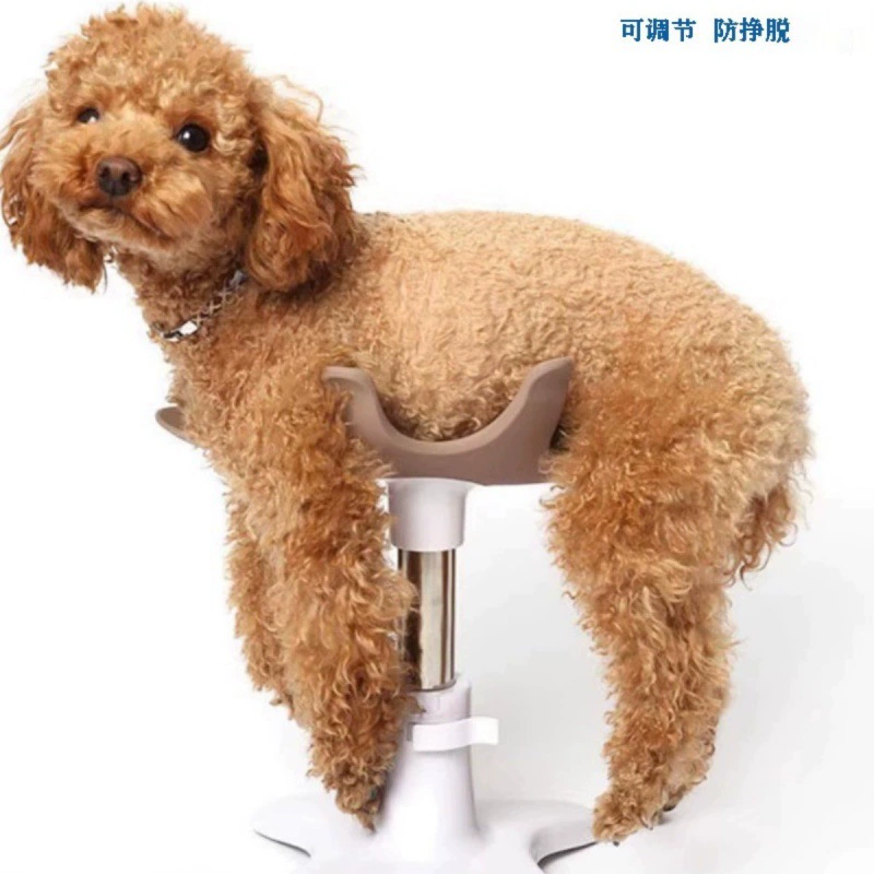 Домашние животные купаются фиксированный держатель, выдув воздух, красота, стойка, стойка, стойка, стойка
