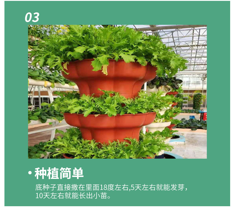 抱柱式无土栽培_11.jpg