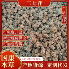 现货批发包邮三七花云南文山花田七花三年四年新花泡水三七花