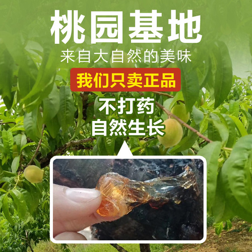 500g of peach gelatin without impurities and clean peach juice can be paired with Yunnan snow yam soapnut rice silver ear soup 