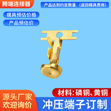 С���Ƕ���753-BS �����B���� �S�~�Ӿ������B�����������B����