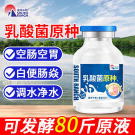 乳酸菌原种鱼塘虾蟹对虾塘调水净水肠道问题水产养殖浓缩粉降ph值