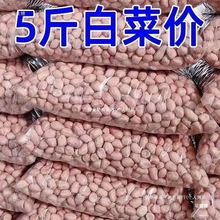 降价g新鲜斤榨油白沙新货5花生米10大花生米新装现剥大粒粉皮包装