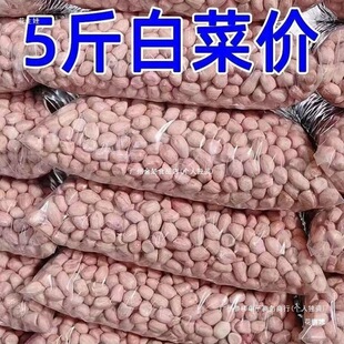 ���rg���r��ե�Ͱ�ɳ��؛5������10���������b�F��������Ƥ���b