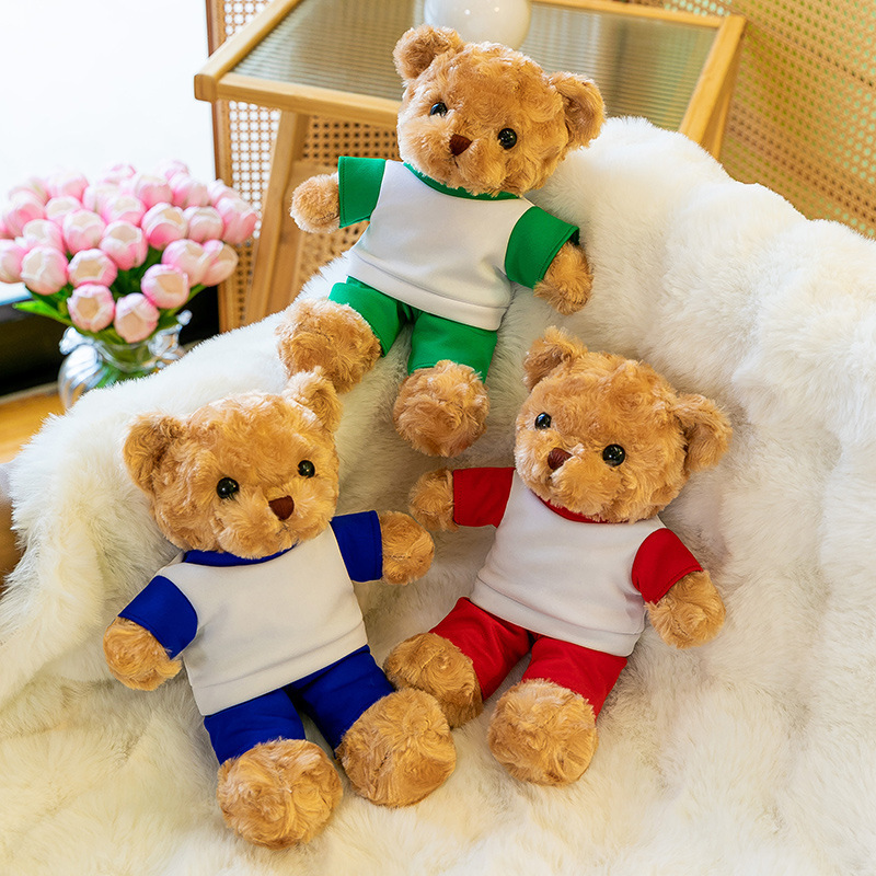 Oso personalizado logotipo impresa emblema de la escuela Nombre de clase estudiante Teddy Bear Dr. Bear Regalo de apertura