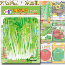 四季香芹菜种子 约3000粒 浓香小芹菜黄心白芹菜种籽蔬菜种子批发