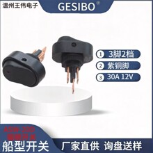 ���Ϳ���è�ۿ���ASW-20D��ͭ��30A�����12V3��2���̰���������