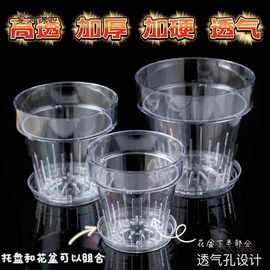 阳台塑料麦太保文心兰透明桌面透气适合圆形高蝴蝶兰壁挂花盆加厚