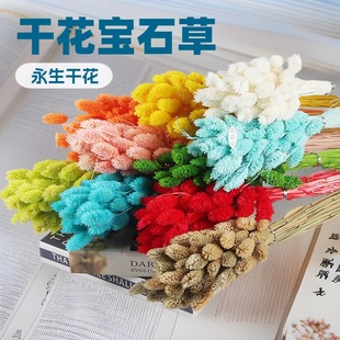 �ɻ���ʯ�ݹ�β�Ͳ����������������յ��߸ɲ�DIY�ֹ�����