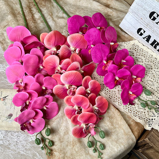 9�^�zƬ�����m����ٻ���Ʒ���콁����c�����û����ϻ���Y����