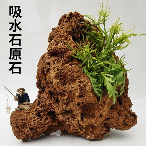 rough  water uptake Stone vein Parallel to the grain modelling Stone basin King Stone Landscape Stone SHORTS Landscaping Grass