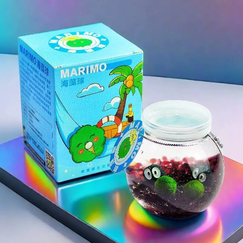 Маримо маленький шарик водоросли экологическая бутылка микрорека настольный гидропонный набор растений подарок полный набор хлореллы питомцев