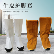 ţƤ�o�_�� �����������w�RţƤ�o�_������ȼ늺��o�ȷ������L��